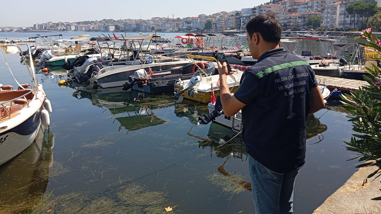 Yalova Cevre Sehircilik Bakanlik Ekipler Cinarcik Belediye Aritma Tesis Kirlilik Para Ceza(1)