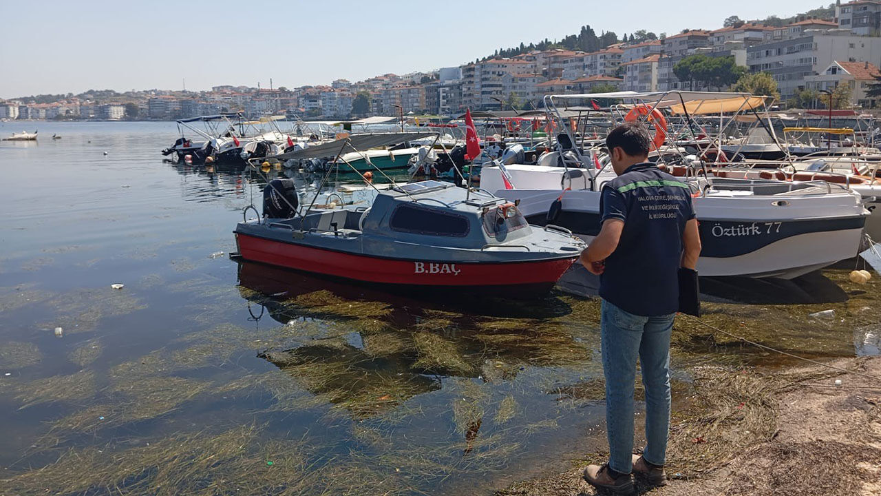 Yalova Cevre Sehircilik Bakanlik Ekipler Cinarcik Belediye Aritma Tesis Kirlilik Para Ceza(2)
