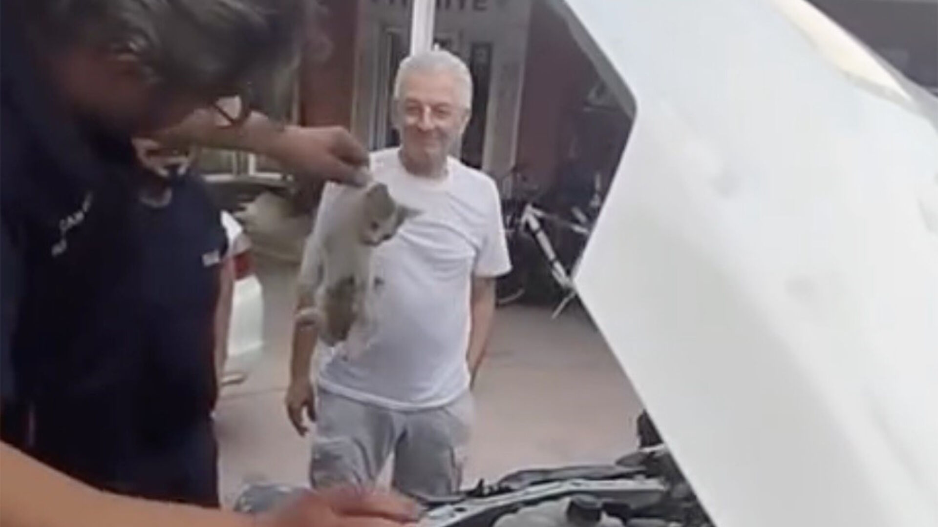 Yalova Itfaiyesi Kedi (1)