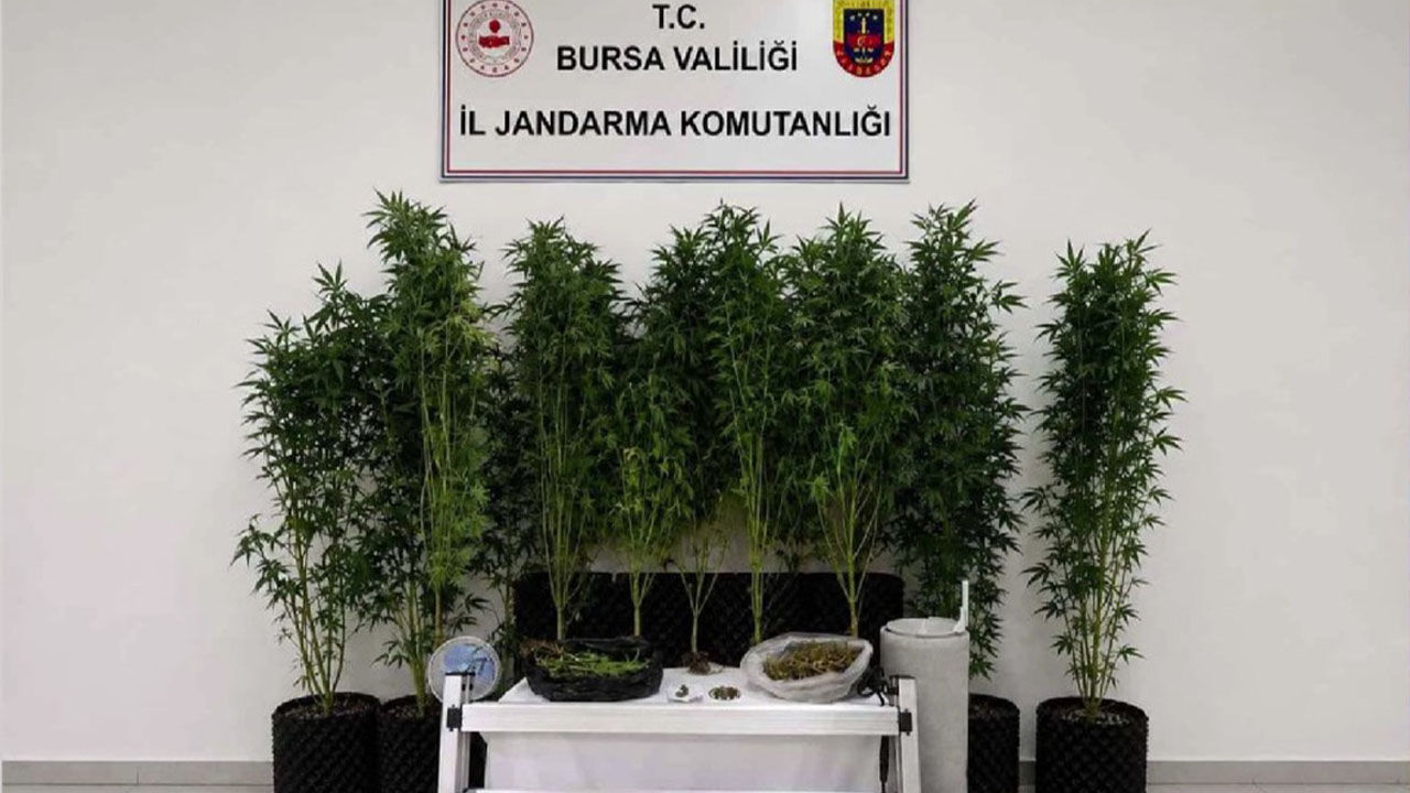 Yalova Narkotik Suclarla Mucadele (2)