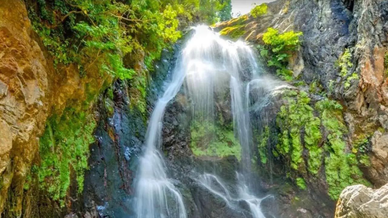 Yalova Termal Belediye Turkiye Tanitma Tutap Unesco Gecici Miras Liste Imza (2)