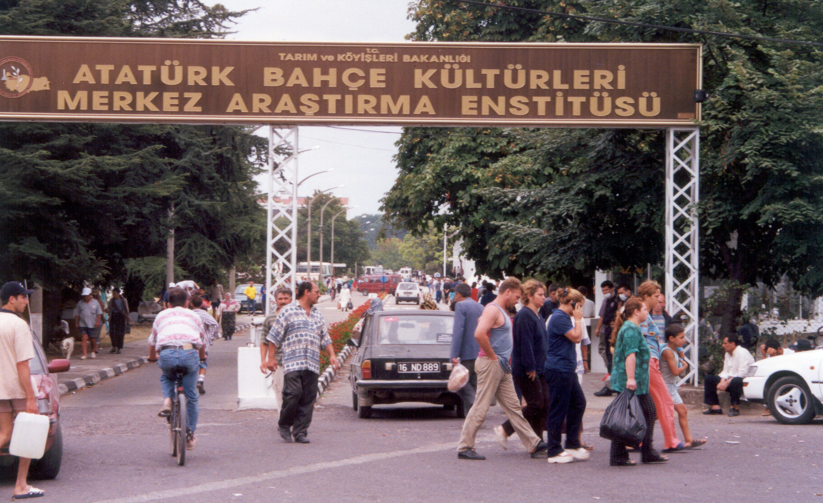 Tezcan (12)