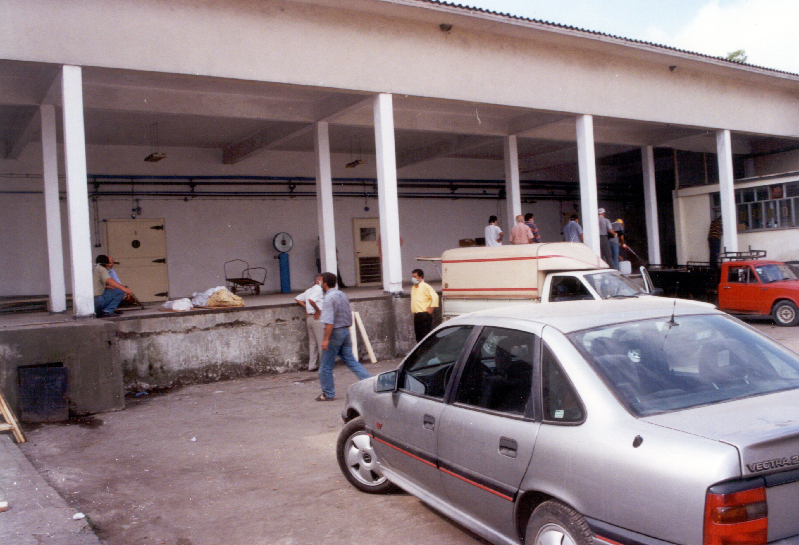 Tezcan (28)