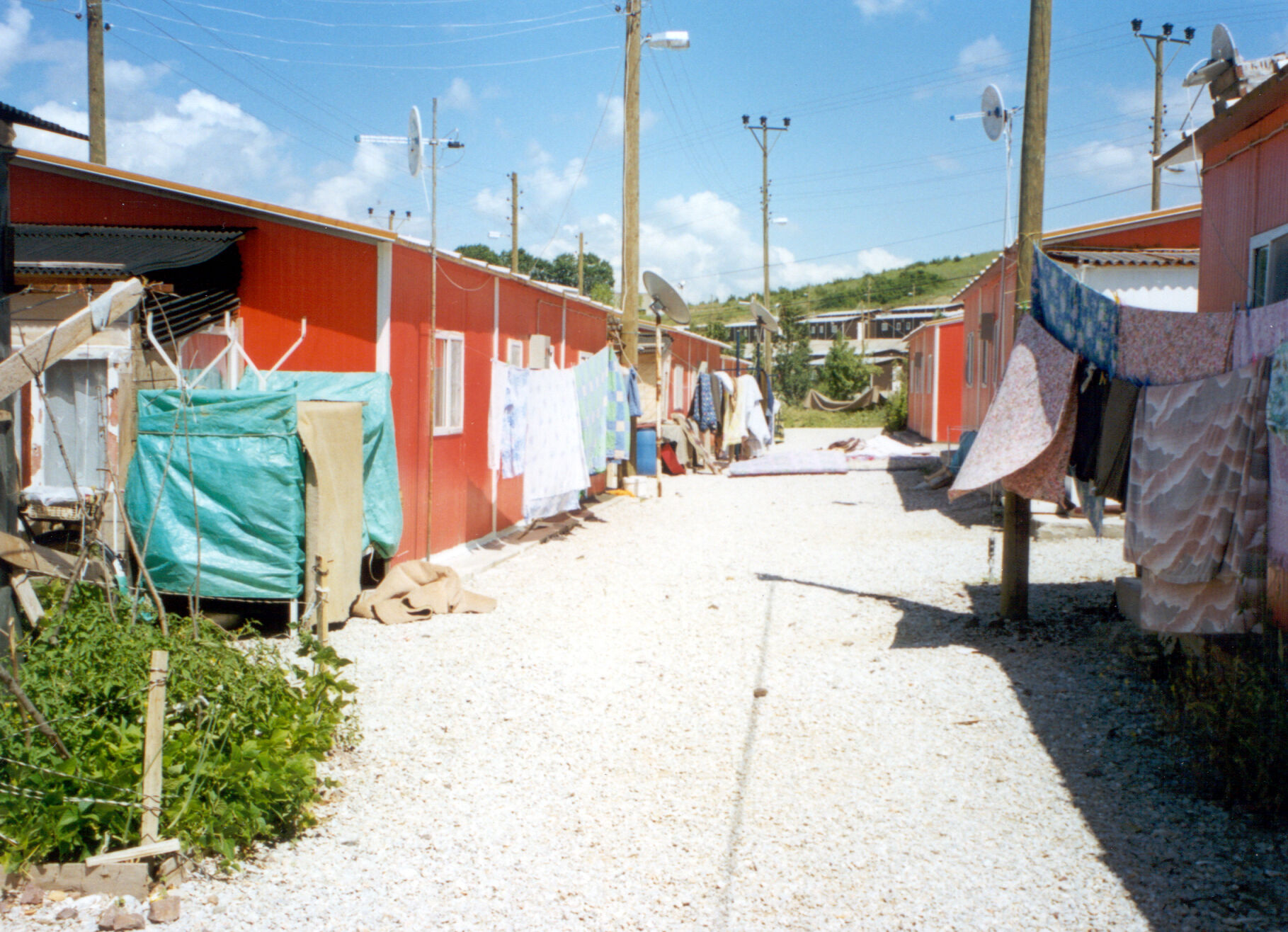 Tezcan (36)