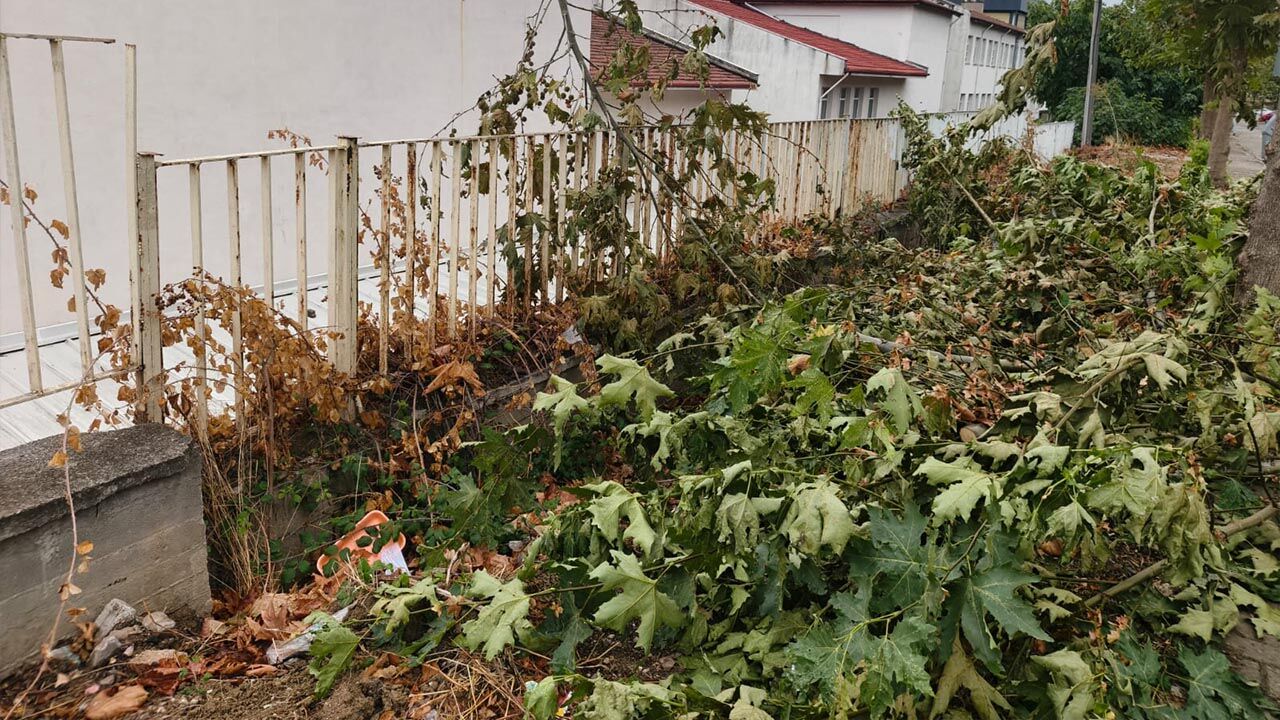 Duvar Çökene Kadar Devam (10)