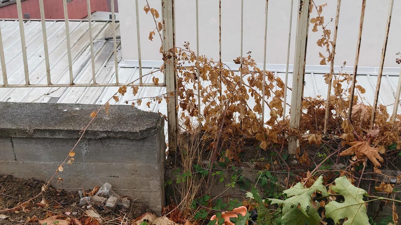 Duvar Çökene Kadar Devam (8)
