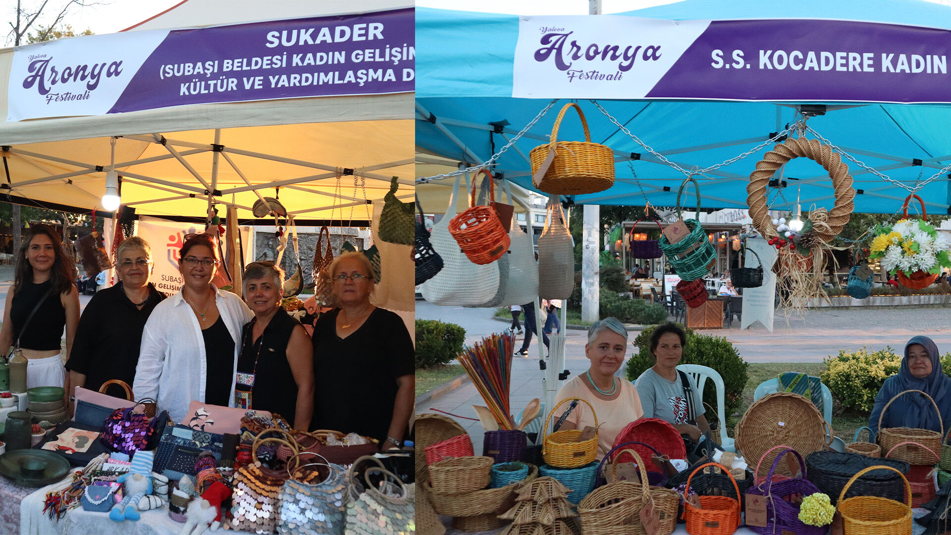 Yalova Aronya Fest (2)