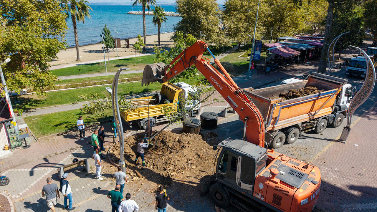 Yalova’da Atatürk’ün Çınar Mirası Korunarak Geleceğe Taşınıyor