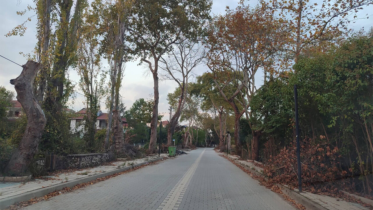 ‘Çınar Ağaçları Kavak Gibi Budanır Mı’ (2)
